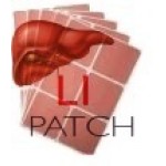 Кликните для увеличения изображения Nano Patch LI - Здоровье печени